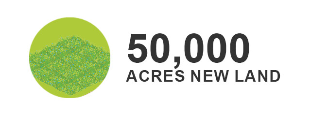 Land Development 50000 Acres New Land