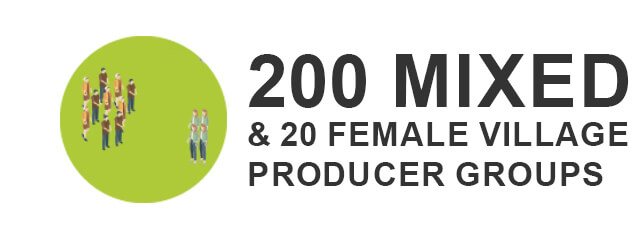 VCTAT 200 Mixed & 20 Female Village Producer Groups