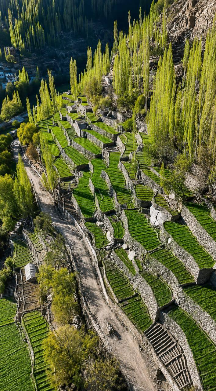 Transforming Agriculture in Kuru, Ghanche, Baltistan 🛣️✨