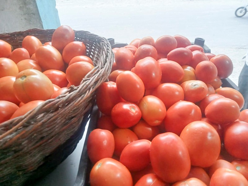 Empowering Mountain Farmers: How Saadat Zarai Cooperative Society is Transforming Kharmang’s Agriculture