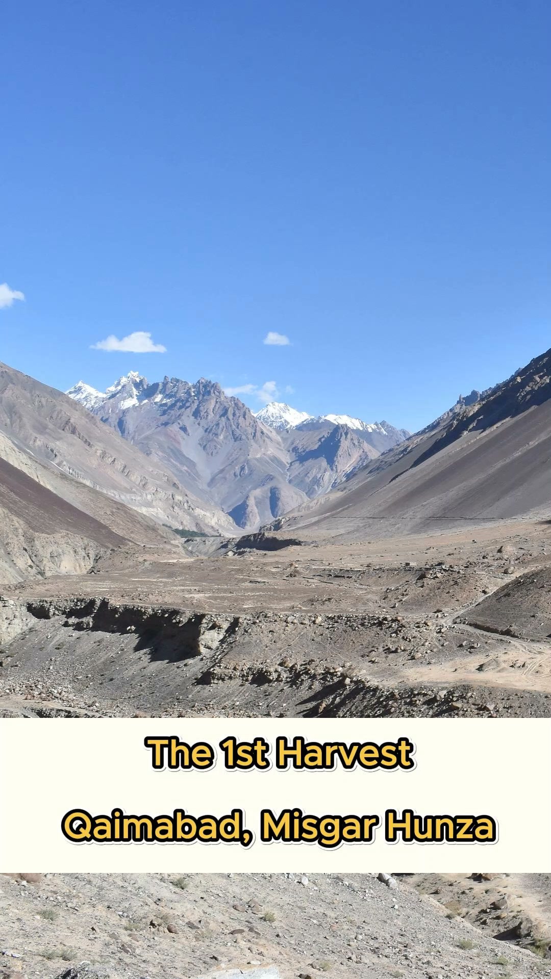 The First Harvest: Misgar in Gojal, Hunza, is celebrating its first wheat harvest 🌾…