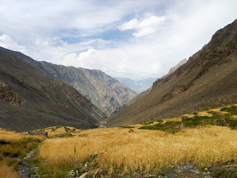 گلشنِ کبیر، گانچھے بلتستان میں ای ٹی آئی پروگرام کے تحت 11.27 کلومیٹر روڈ…