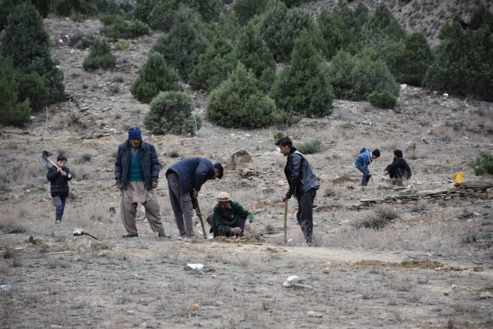 Field photo from ETI-GB