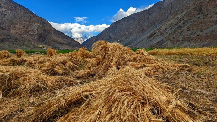 Dahimal Ghizer