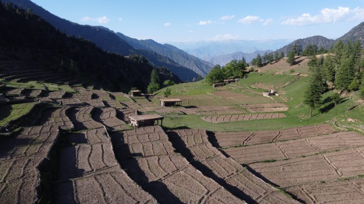 Kadaat, Diamer
