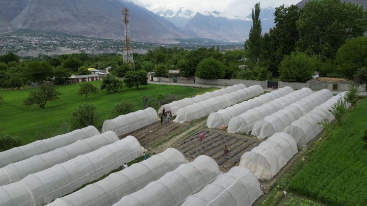 Tunnel Farming, Chikas, Danyore, Gilgit