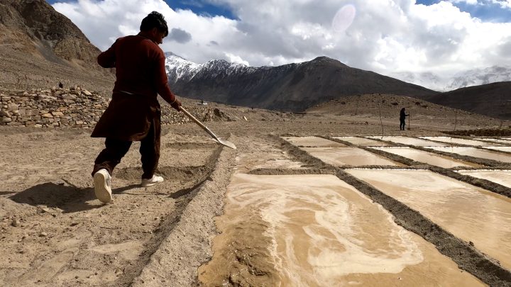 Thagus, Land Development, Baltistan