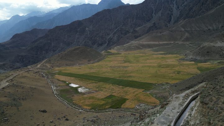 Suttdass Land Development, Diamer