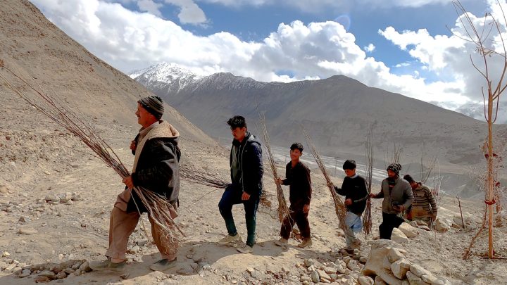 Thagus, Land Development, Baltistan