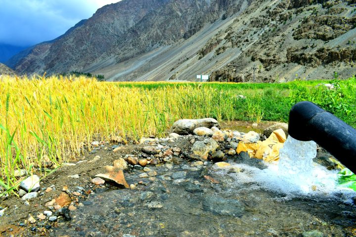 Field photo from ETI-GB