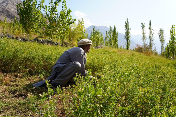 Field photo from ETI-GB