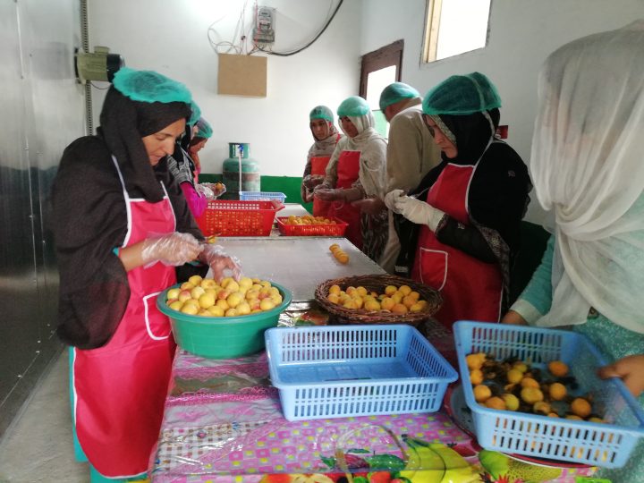 Apricot processing training for women in Hunza/Nagar — value chain skills development, 2018
