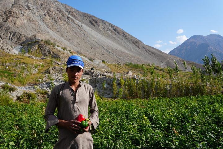 Field photo from ETI-GB