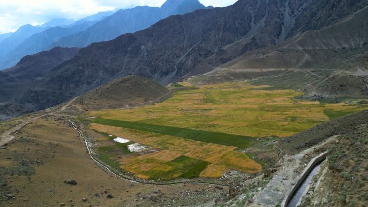 Field photo from ETI-GB
