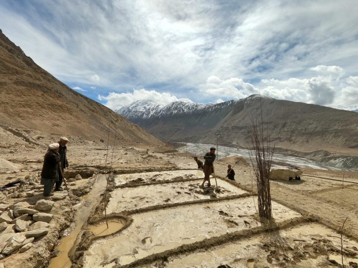 Field photo from ETI-GB