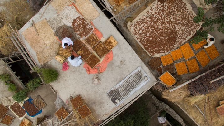 Aerial view of ILD programme area — newly levelled and irrigated terraces in GB