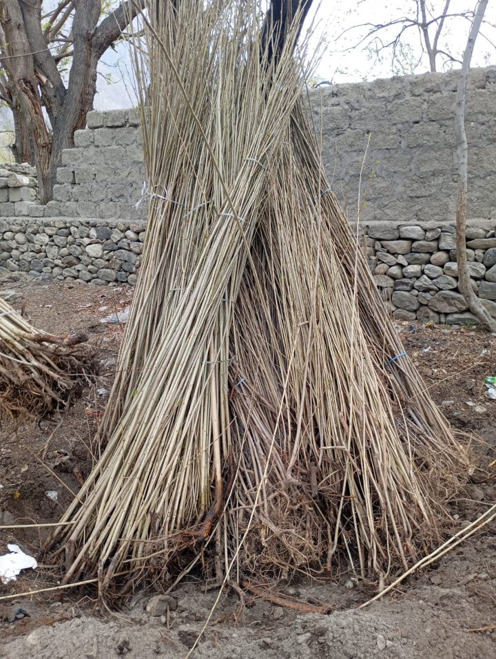 Field photo from ETI-GB